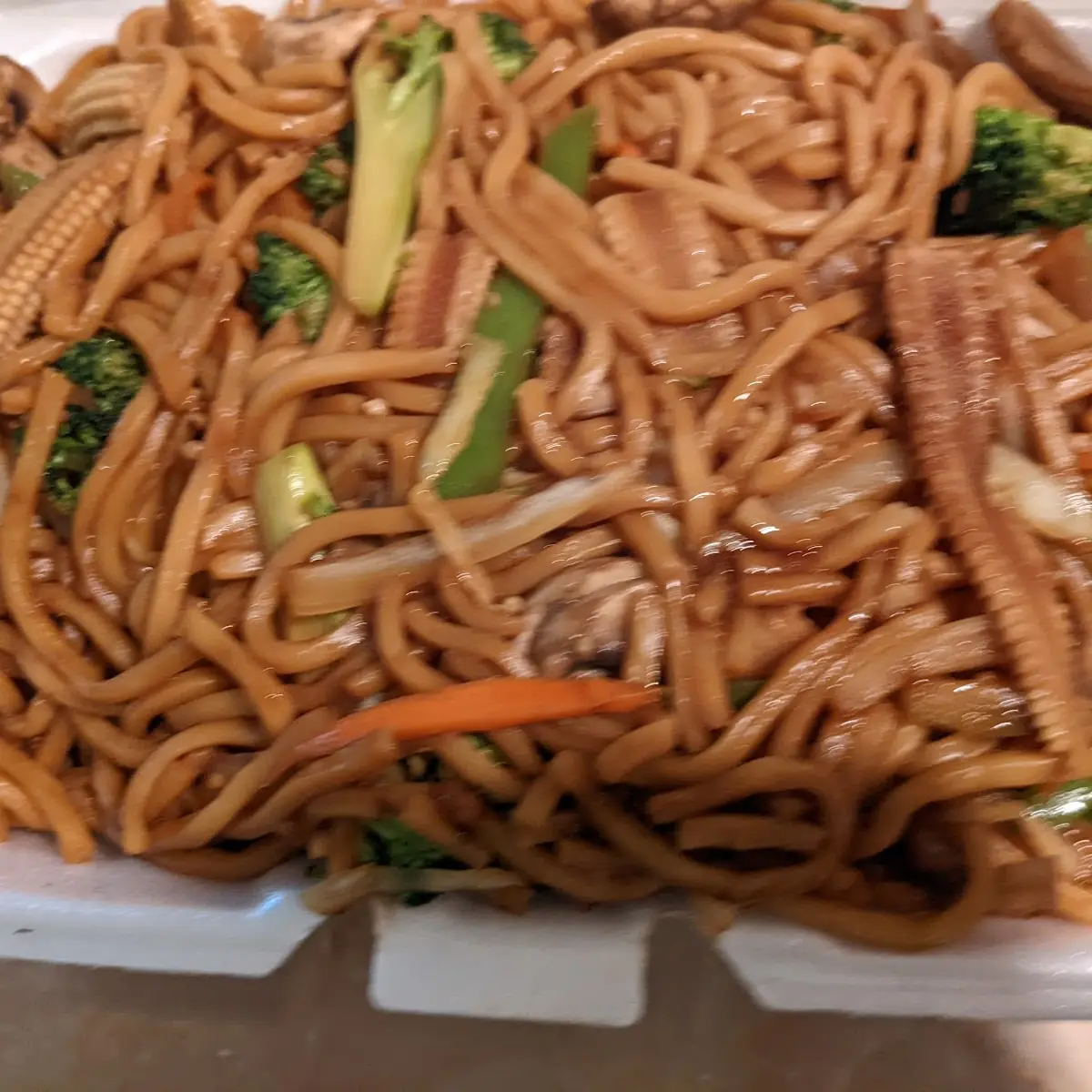 Vegetable Lo Mein 菜捞面